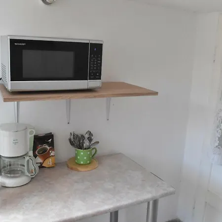 Проживание в семье Valentina Костинешти