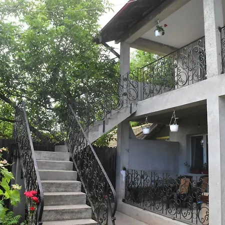 Valentina Проживание в семье