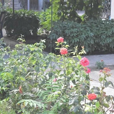 Valentina Habitación en casa particular Costinesti