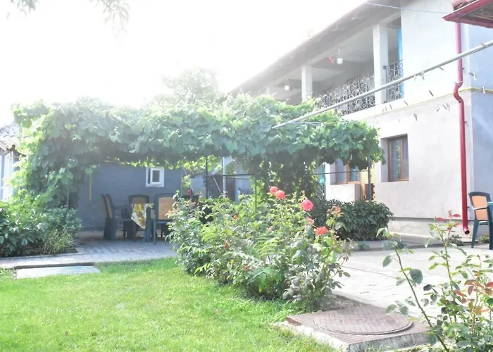 Valentina ホームステイ コスティネシュティ