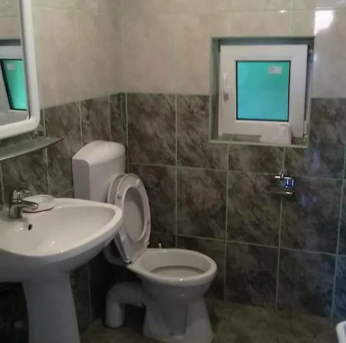 ホームステイ Valentina コスティネシュティ