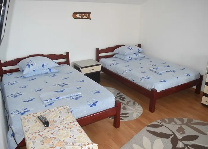 Valentina コスティネシュティ