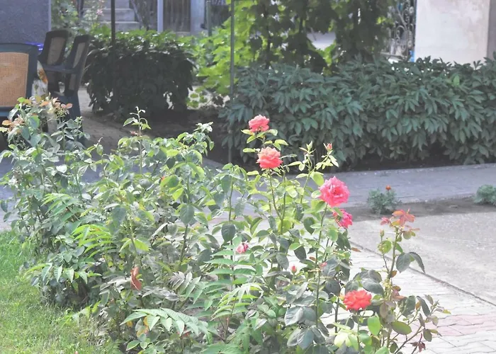 Valentina ホームステイ コスティネシュティ