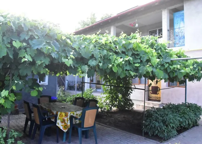 Valentina ホームステイ