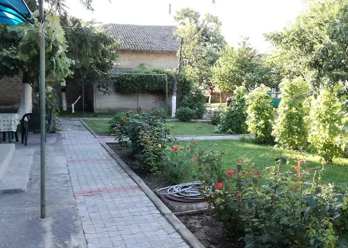 Valentina * コスティネシュティ